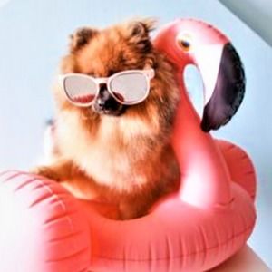 Meet your Posher, Aaliyah